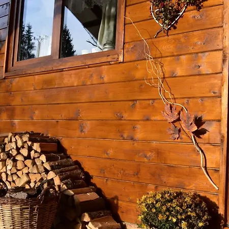 Holiday home Pura Vida Forest Poiana Horea