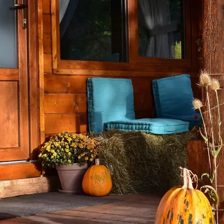 Pura Vida Forest Holiday home *