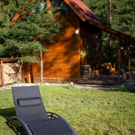 Holiday home Pura Vida Forest Poiana Horea
