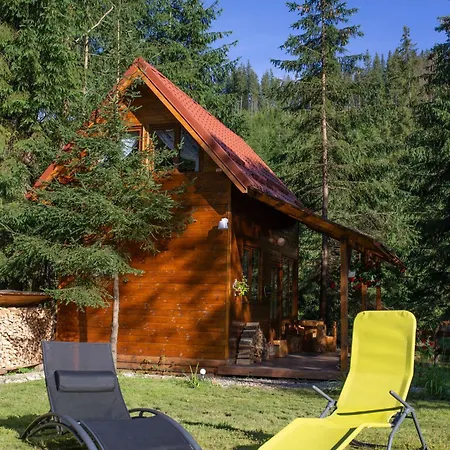 Holiday home Pura Vida Forest Poiana Horea