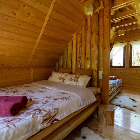 Holiday home Pura Vida Forest Poiana Horea