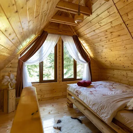 Holiday home Pura Vida Forest Poiana Horea