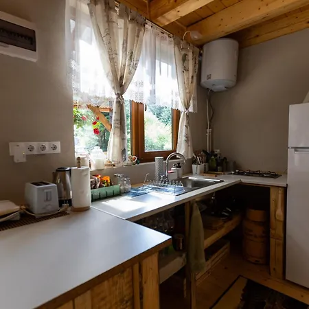 Holiday home Pura Vida Forest Poiana Horea