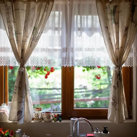Pura Vida Forest Holiday home