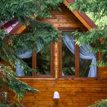 Pura Vida Forest Holiday home Poiana Horea