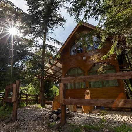 Holiday home Pura Vida Forest