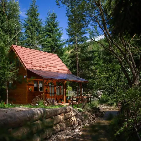 Holiday home Pura Vida Forest