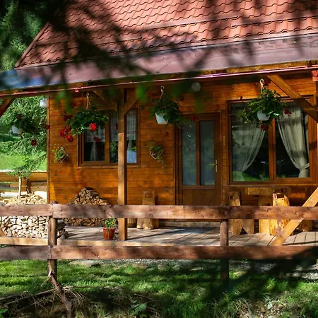 Pura Vida Forest *